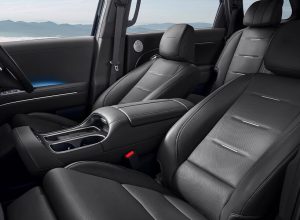 INTERIOR-PALISADE-11.jpg
