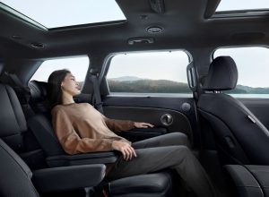 INTERIOR-PALISADE-8.jpg